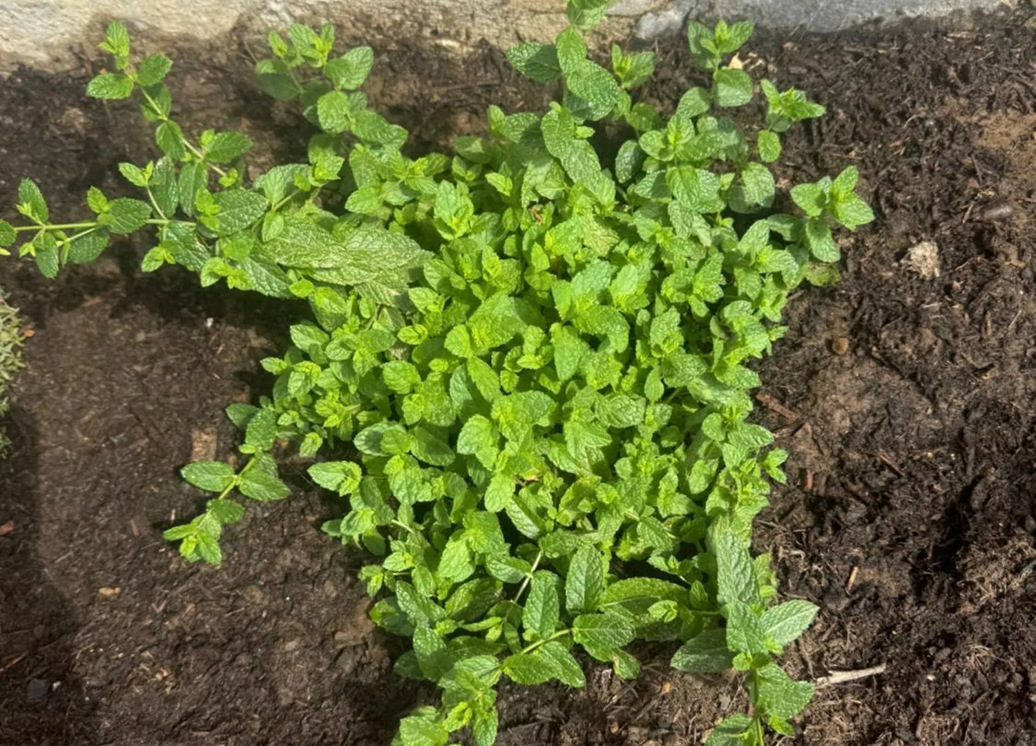 Le Casette Di Campagna Campofelice Di Roccella 0*,  Itálie