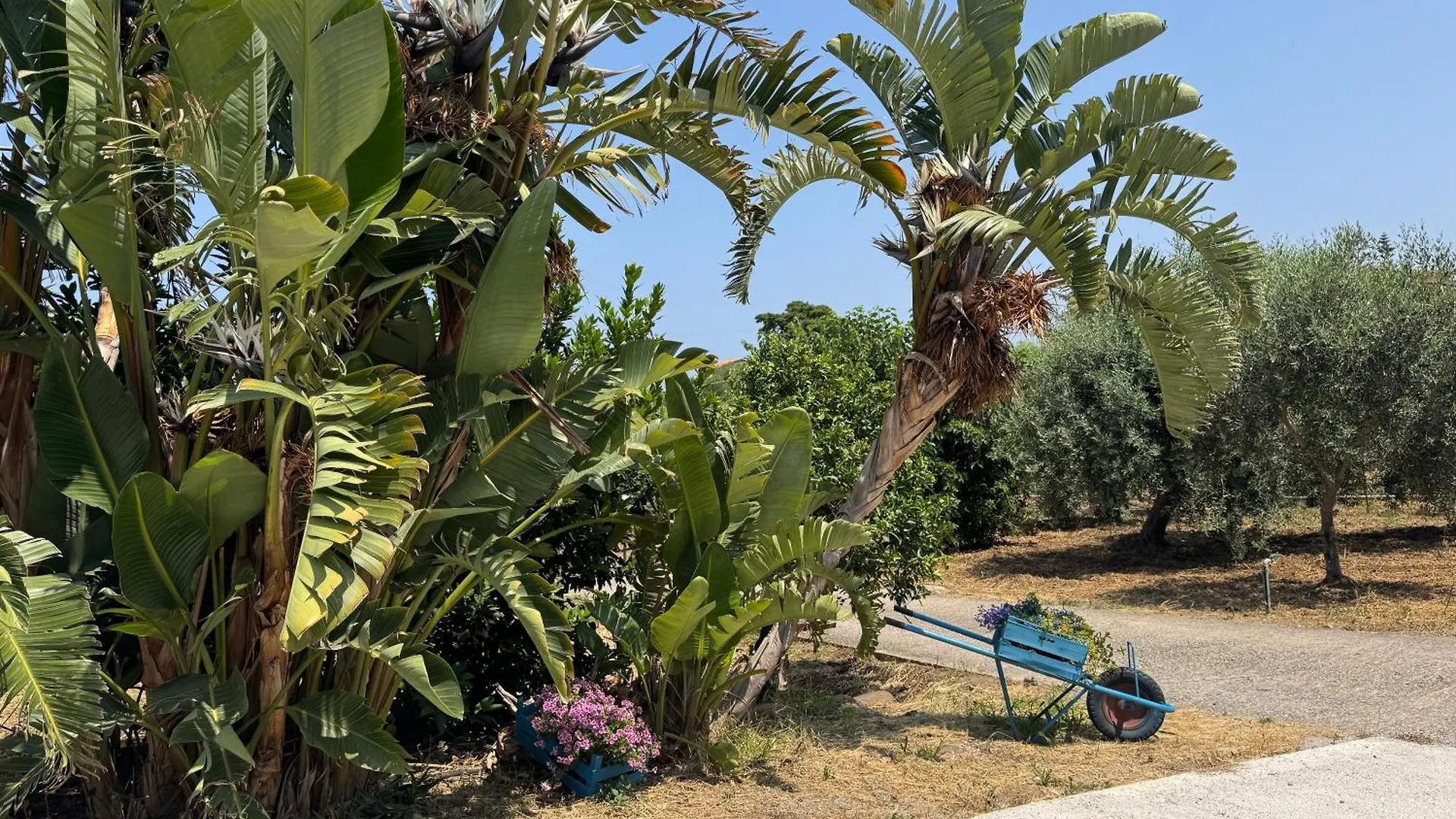 Vila Le Casette Di Campagna Campofelice Di Roccella